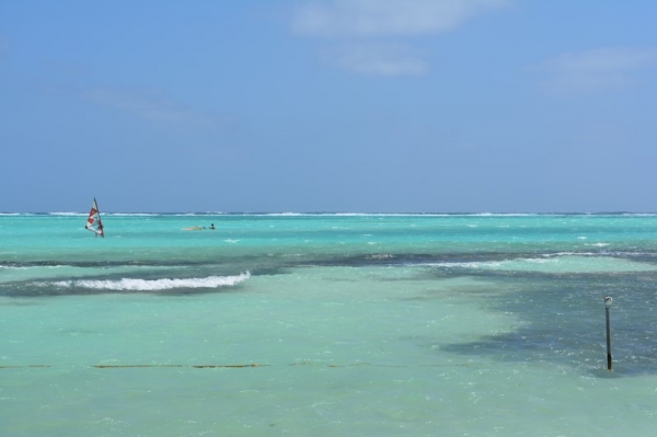 Zdjęcie z Bonaire - 
