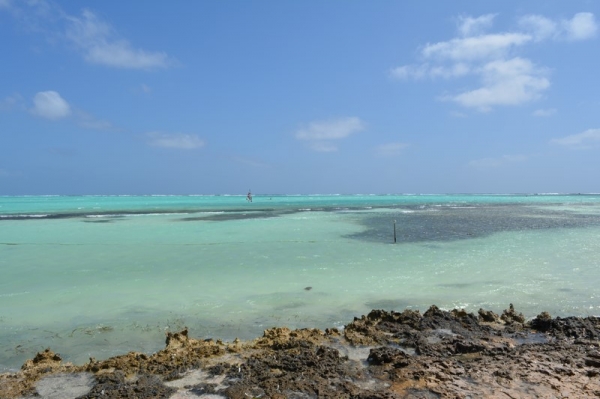 Zdjęcie z Bonaire - 