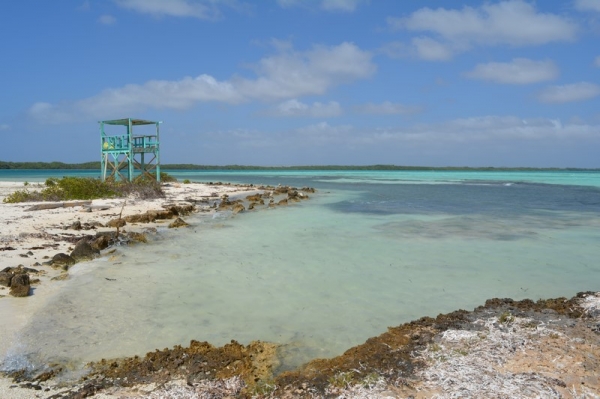 Zdjęcie z Bonaire - 