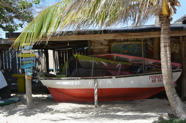 Zdjęcie z Bonaire - 