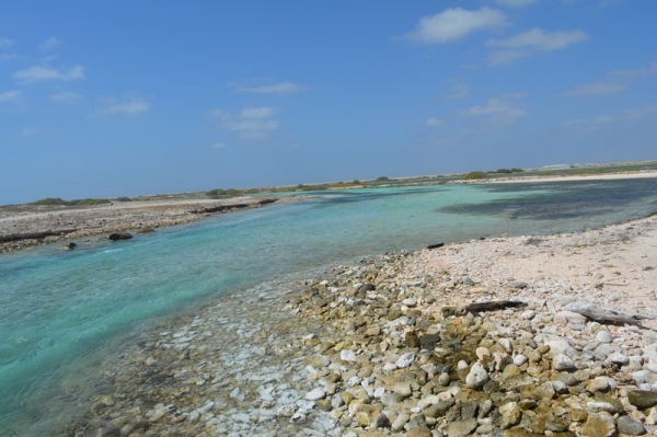 Zdjęcie z Bonaire - JEZIORA SOLNE