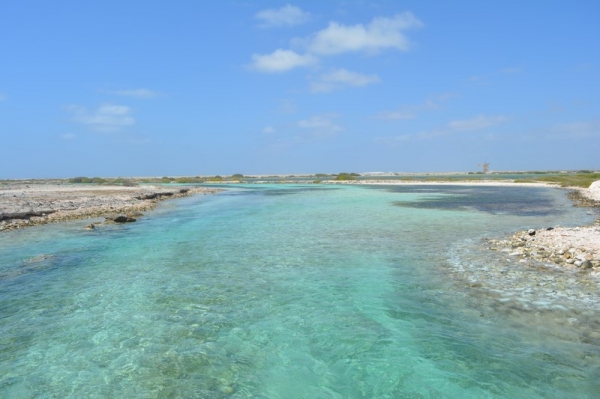 Zdjęcie z Bonaire - 
