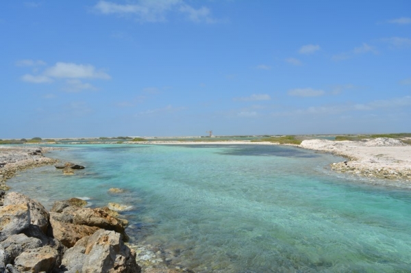 Zdjęcie z Bonaire - 