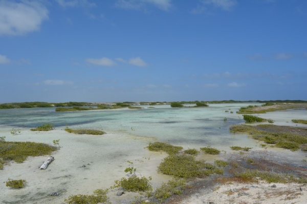 Zdjęcie z Bonaire - JEZIORO SOLNE