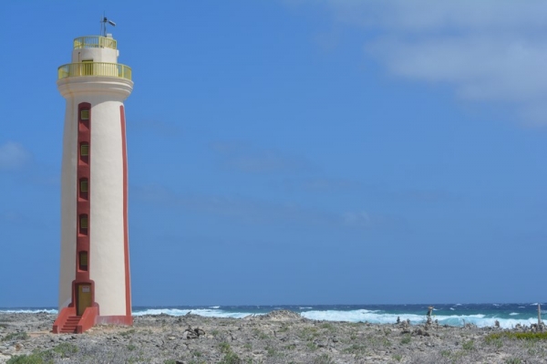 Zdjęcie z Bonaire - 