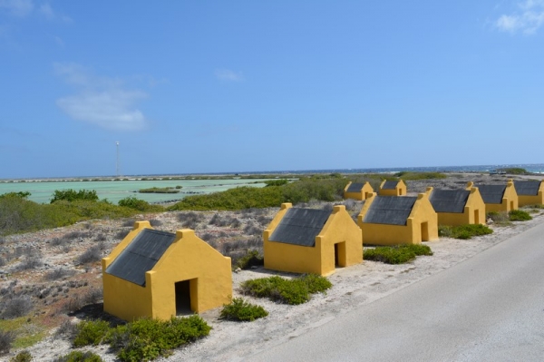 Zdjęcie z Bonaire - domy niewolnikow pracujacych przy solankach