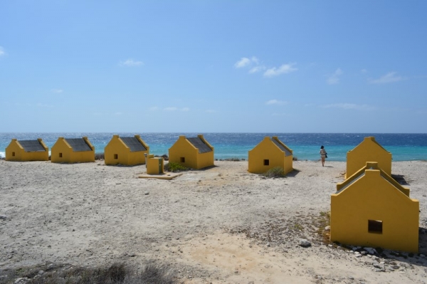 Zdjęcie z Bonaire - 