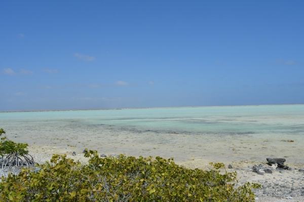Zdjęcie z Bonaire - JEZIORO SOLNE