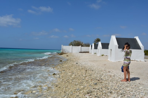 Zdjęcie z Bonaire - 