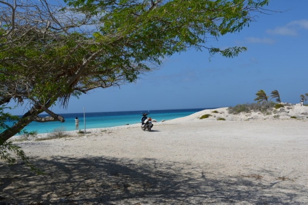 Zdjęcie z Bonaire - 