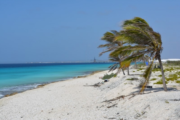 Zdjęcie z Bonaire - 