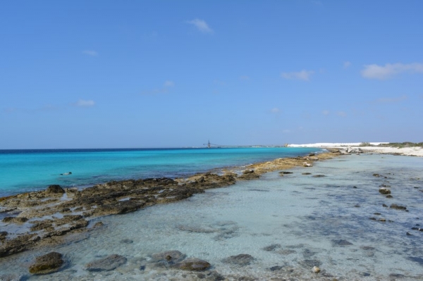 Zdjęcie z Bonaire - 