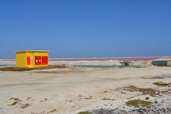 Zdjęcie z Bonaire - Jezioro solne w kolorze rozowym