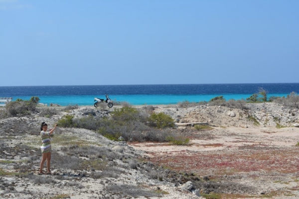 Zdjęcie z Bonaire - 