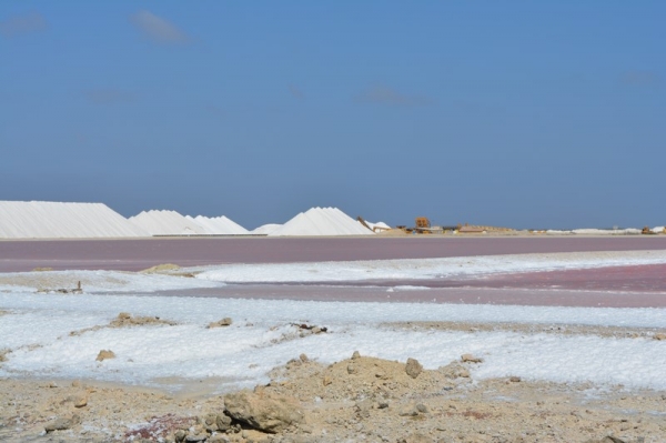 Zdjęcie z Bonaire - ROZOWE JEZIORO SOLNE