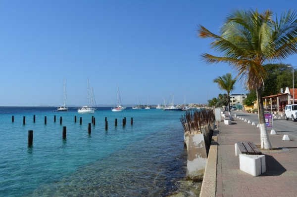 Zdjęcie z Bonaire - 