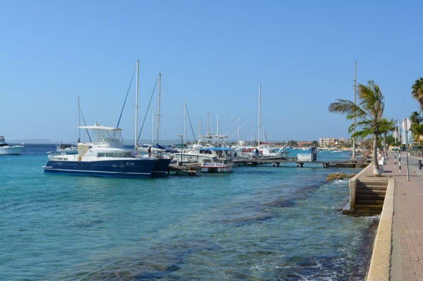 Zdjęcie z Bonaire - 