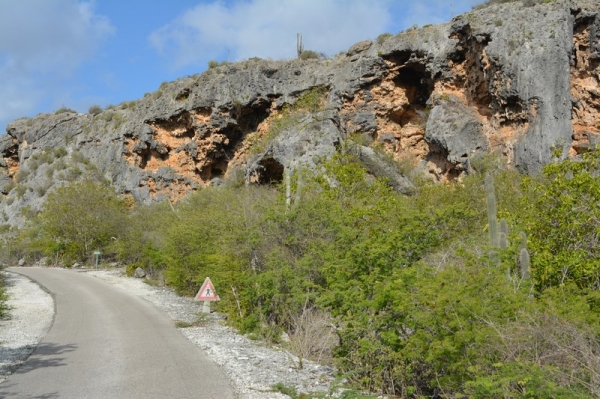 Zdjęcie z Bonaire - 