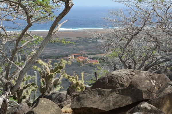 Zdjęcie z Bonaire - 
