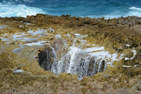 Zdjęcie z Bonaire - 