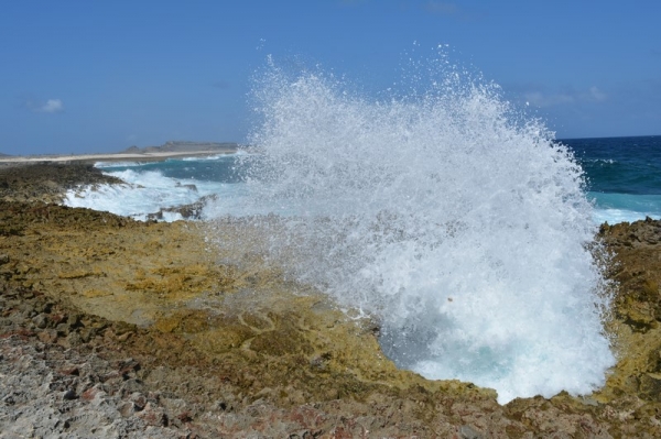 Zdjęcie z Bonaire - 