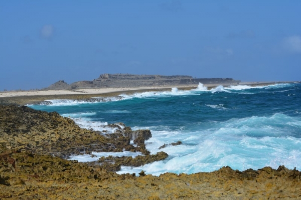 Zdjęcie z Bonaire - Przepiekny Washington-Slagbaai National Park