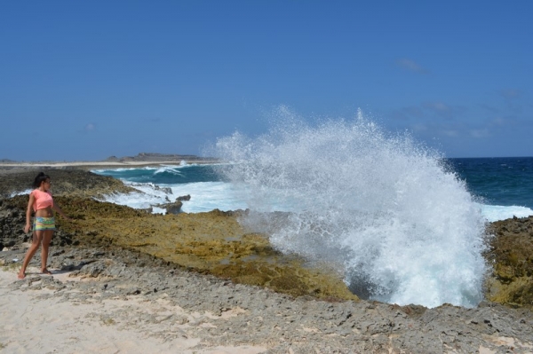 Zdjęcie z Bonaire - 