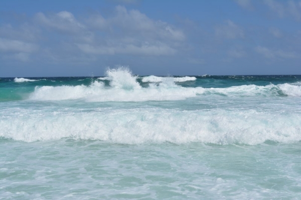 Zdjęcie z Bonaire - 