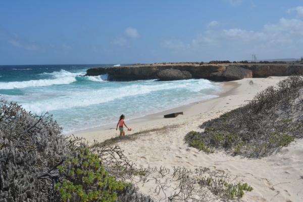 Zdjęcie z Bonaire - 