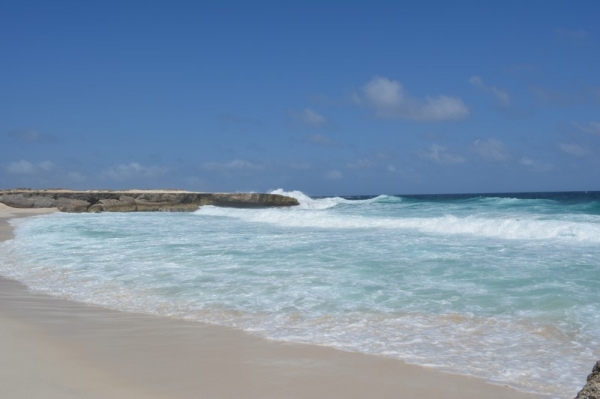 Zdjęcie z Bonaire - 