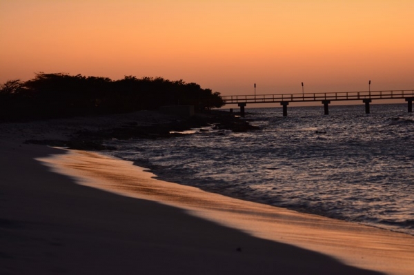 Zdjęcie z Bonaire - 