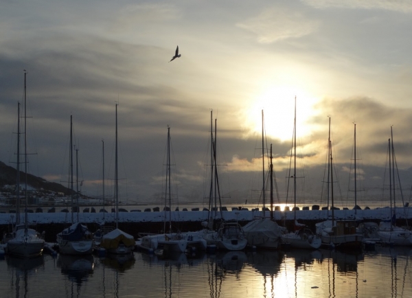 Zdjęcie z Norwegii - Tromso zimą