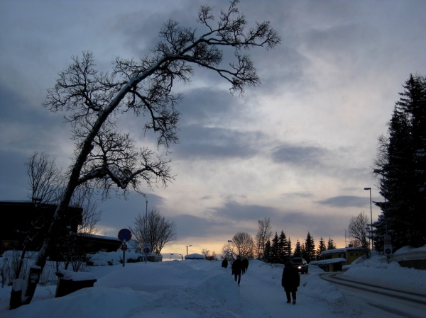 Zdjęcie z Norwegii - Tromso zimą