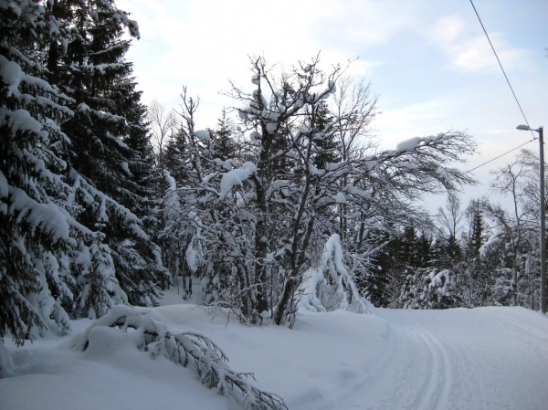 Zdjęcie z Norwegii - Tromso zimą