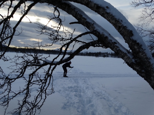 Zdjęcie z Norwegii - Tromso zimą