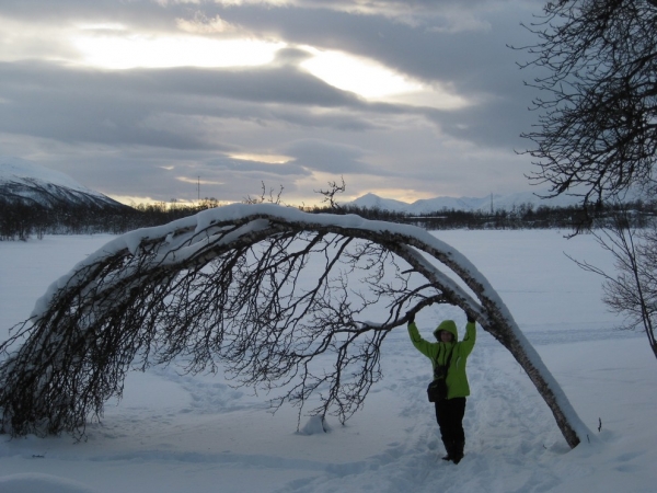 Zdjęcie z Norwegii - Tromso zimą