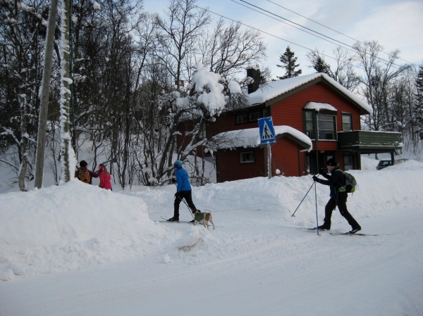 Zdjęcie z Norwegii - Tromso zimą