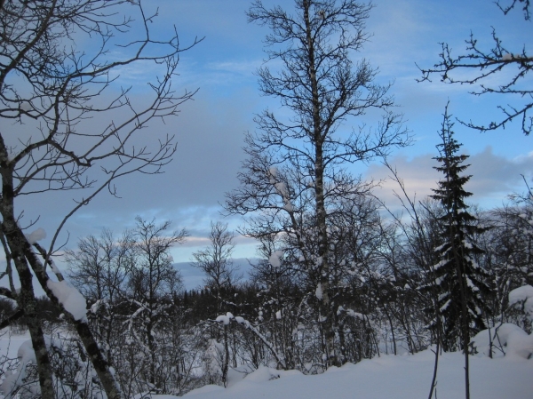 Zdjęcie z Norwegii - Tromso zimą