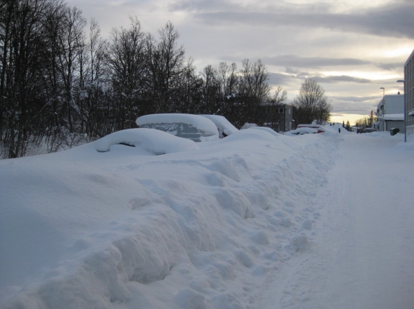 Zdjęcie z Norwegii - Tromso zimą