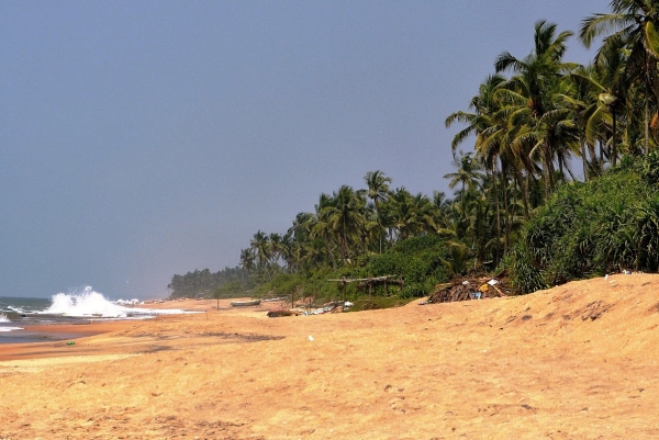 Zdjęcie ze Sri Lanki - pierwsze kroki kierujemy na plażę:))