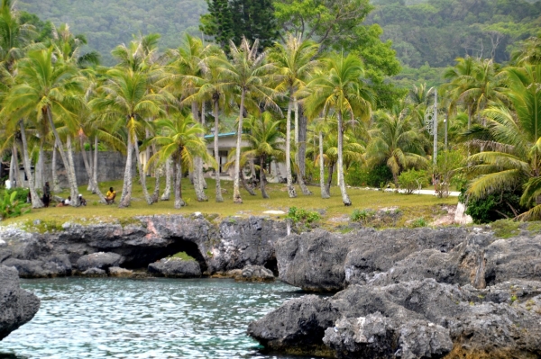 Zdjęcie z Nowej Kaledonii - Wyspa Maré