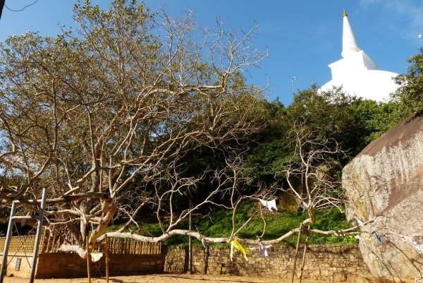 Zdjęcie ze Sri Lanki - Mihintale