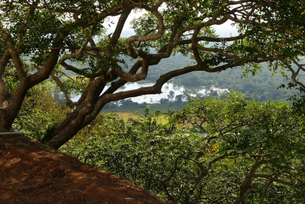 Zdjęcie ze Sri Lanki - widoczki ze wzgórz Mihintale