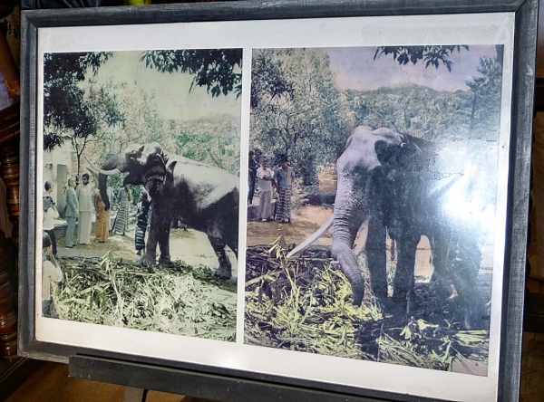 Zdjęcie ze Sri Lanki - obrazki z zycia Radży Tuskera wiszące na ścianach mauzoleum