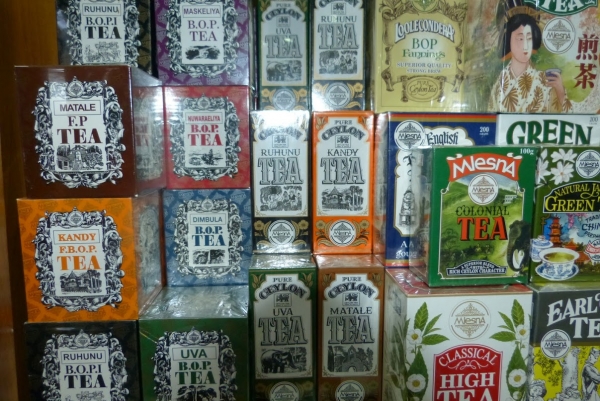 Zdjęcie ze Sri Lanki - można się tu zatracić w  herbacie:)