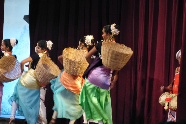 Zdjęcie ze Sri Lanki - "taniec zbieraczek herbaty":)