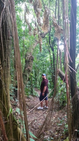Zdjęcie z Brazylii - Catacumba Park