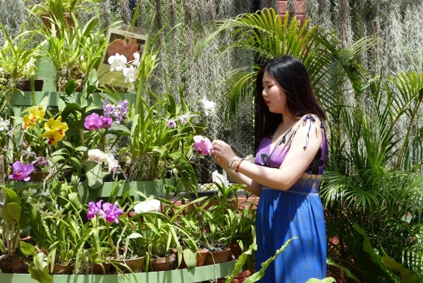 Zdjęcie ze Sri Lanki - w Ogrodzie Orchidei