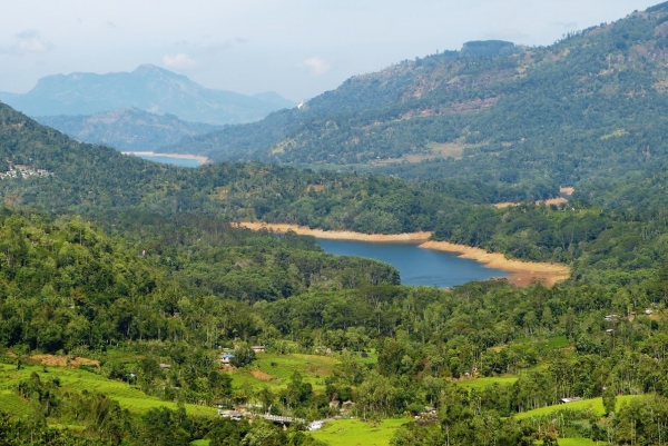 Zdjęcie ze Sri Lanki - 