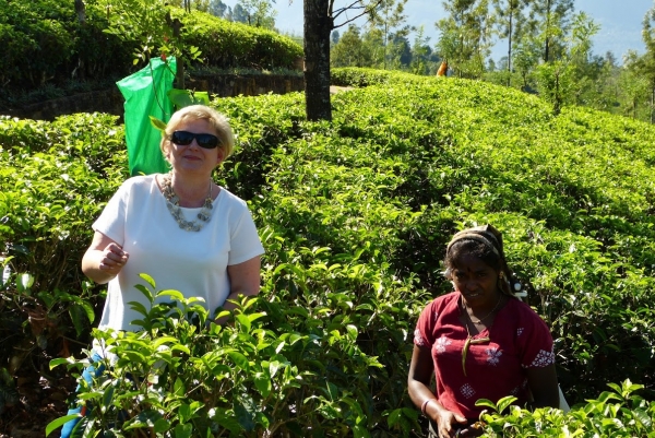 Zdjęcie ze Sri Lanki - ...